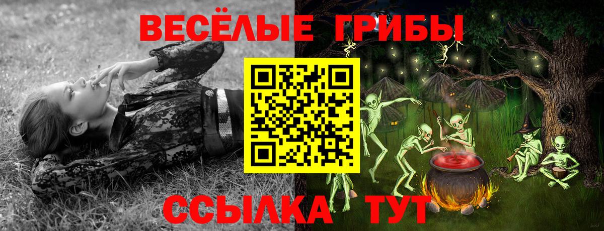 Псилоцибиновые грибы Psilocybine cubensis Каменка