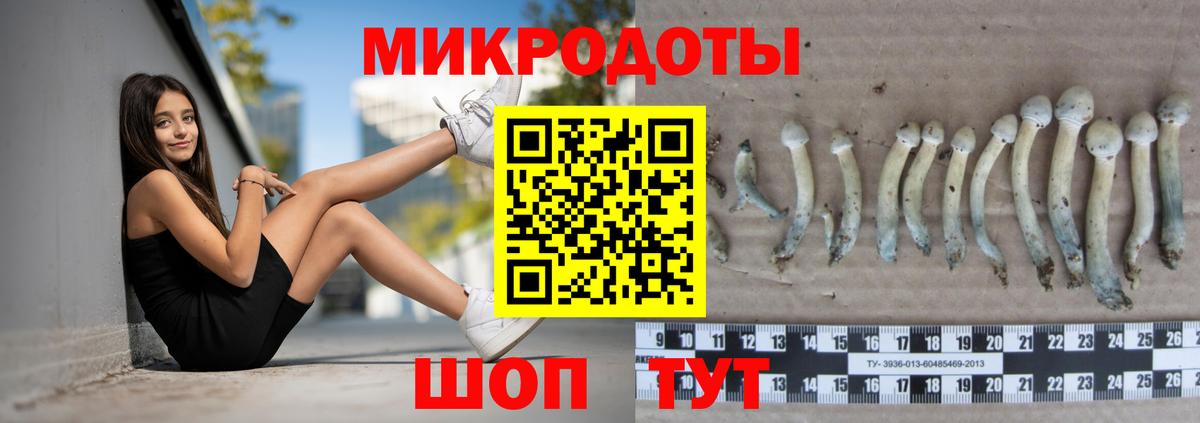 Каменка  Псилоцибиновые грибы Magic Shrooms  закладки  Вход с VPN  Псилоцибиновые грибы MAGIC MUSHROOMS 